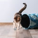 thumbnail image 3 of Juguete Para Gato 2 Pelotitas Fibra Natural, 3 of 3