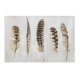 thumbnail image 1 of Canvas Pluma 60X90 Cm, 1 of 1