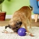 thumbnail image 5 of Juguete para Perro Jolly Pets Cuerda y Pelota Romp-n-Roll 11.4 cm Morado, 5 of 7