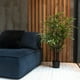 thumbnail image 1 of Bamboo Negro de 120 cm, 1 of 2