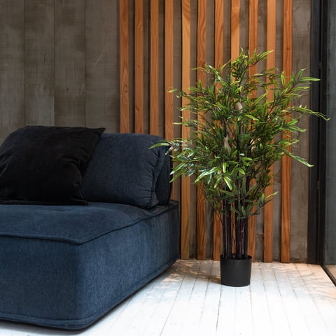 Vadell Home - Bamboo Negro De 120 Cm