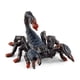 thumbnail image 1 of Figura de juguete Schleich Wild Life Emperor Scorpion para niños a partir de 3 años, 1 of 7