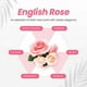 thumbnail image 3 of Shampoo Coreano Con Extracto De Miel Y Macadamia, English Rose -, 3 of 3