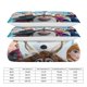 thumbnail image 2 of Frozen 3-Piece Bedding Set Soft Warm And Comfortable Bed Set, 2 of 5
