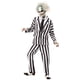thumbnail image 1 of Disfraz Rubies Beetlejuice Beetlejuice para adultos y hombres, 1 of 6