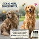 thumbnail image 5 of Suplemento Pupganics Multivitamínico Diario En Soft Chews Para Perros, 5 of 7