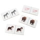 thumbnail image 3 of Domino Animal Carton Dactic, 3 of 3