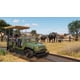 thumbnail image 2 of Videojuego Planet Zoo Console Edition PlayStation 5, 2 of 9
