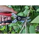 thumbnail image 5 of Tijeras de poda para jardín Kimura 8" Samurai de acero Yasugi, 5 of 7