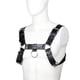 thumbnail image 1 of Harness Elegance, 1 of 2