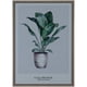 thumbnail image 1 of Cuadro Decorativo Cyclanthus Friend 70 x 50, 1 of 4