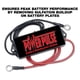 thumbnail image 5 of Sistema De Mantenimiento De Baterías Powerpulse 48v, 5 of 9