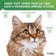 thumbnail image 3 of Suplemento Vetoquinol Viralys Gel L-Lisina para gatos 150 ml, 3 of 7