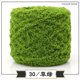 thumbnail image 1 of Xiao Hua Hilo de lana de coral verde hierba - 1 rollo de 100 g, hilo de lana para proyectos de tejido de mantas, fundas de almohada y camas para mascotas., 1 of 3