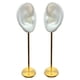 thumbnail image 5 of 2 Soportes Duraderos Para Exhibición De Pendientes, Modelo De Oreja Humana, Soporte Para Perno, Silicona Suave, 5 of 5