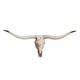 thumbnail image 5 of Resina Long Horned RAM Decor Skull Wall Mount Skull Decor Para Home Office A 77.5x32x12cm, 5 of 5