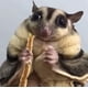 thumbnail image 5 of Snack Para Mascotas Polar Bears Fish Stick Para Petauro Del Azúcar 33 G, 5 of 7