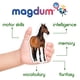 thumbnail image 5 of Magdum 16 imanes para nevera con forma de animales de granja para niños pequeños, 5 of 9