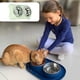 thumbnail image 4 of Cuenco para perros y gatos, cuenco integrado para beber y comer, cuenco para perros y gatos, cuenco de acero inoxidable para alimentación de mascotas., 4 of 5