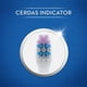 thumbnail image 2 of Pack Cep Sensible Oral, 2 of 6