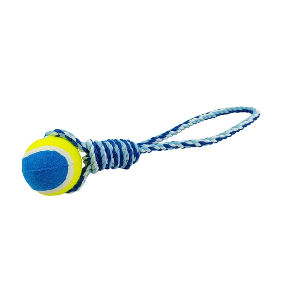 Juguetes Mascotas Cuerda Pelota, 1 Un