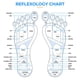thumbnail image 4 of Alfombrilla masajeadora de pies Daiwa Felicity Reflexology Magnetic Blue, 4 of 7