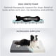 thumbnail image 3 of Cama ortopédica grande para perros con funda extraíble y lavable, 3 of 6
