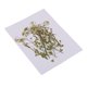 thumbnail image 4 of 12 Piezas De Flores Secas Prensadas Naturales DIY MARCO DE FOTO TELéFONO Material, 4 of 5