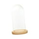 thumbnail image 2 of Cúpula De Cristal Transparente Cloche Decoración De Casa De Muñecas Adorno DIY Cúpula Transparente Cloche 12cmx25cmx14cm, 2 of 5