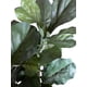 thumbnail image 2 of Árbol Ficus Lyrata 90cm Artificial, 2 of 3