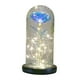 thumbnail image 1 of Galaxy Rose Flowers Forever Rose Luz LED Colorida En Estilo Domo De Vidrio, 1 of 3