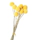 thumbnail image 1 of 10 Uds. De Flores Secas, Regalo, Decoración Bohemia Para Decoración De Oficina, Decoraciones De Otoño Para El Hogar, 1cm A 1,5 Cm, 1 of 2