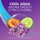 thumbnail image 5 of LADY SPEED STICK DEO LSS COOL BLUE SPRAY.., 5 of 11