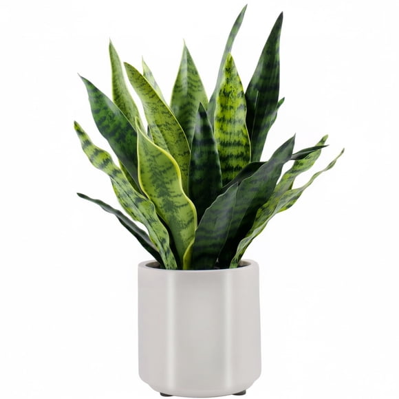 Planta artificial BTHM DSGN 56 cm realista en maceta