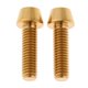 thumbnail image 5 of 2x M6 Titanio Ti Tornillo Carenado Perno Taper Cabeza Hexagonal Cónica Dorada M6x16mm, 5 of 5
