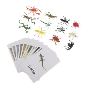 Genérico - Juguete Educativo De Insectos Y Animales, Tarjetas De Nombres Para Educación Montessori