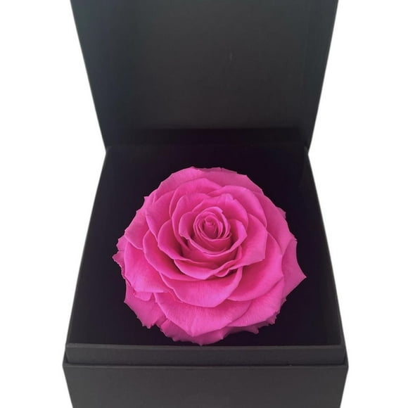 Gift Box 6 Con Rosa Preservada Natural Bonita Rosado
