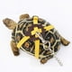 thumbnail image 3 of 2pcs Tortoise Leash, cuerda de control ajustable tortuga cuerda y arnés mascota caminando cuerda para pequeñas tortugas medianas y grandes mascotas al aire libre caminando suministros de ent, 3 of 3