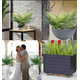 thumbnail image 3 of Rama palma tropical hojas decoración verde, 3 of 3