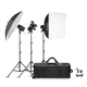 thumbnail image 1 of Kit Iluminación Profesional, 1 of 3