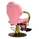 thumbnail image 5 of Silla Peluqueria Barberia Respaldo Ergonomico Ajustable Rosa, 5 of 8