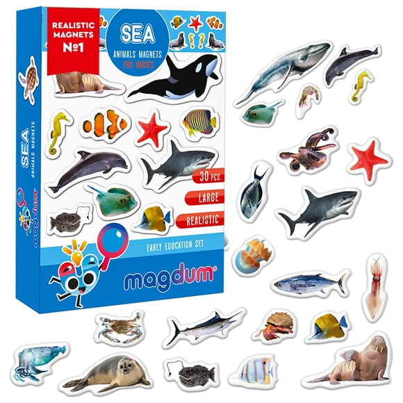 Magdum 30 SEA Photo Magnets para nevera, imanes para niños durante más de 3 años