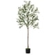thumbnail image 1 of Olivo artificial NOVAROOT de 183 cm con maceta e luces, 1 of 9