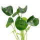 thumbnail image 2 of Adorno Planta Acuario Unique Bargains Verde con Base Cerámica, 2 of 2