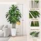 thumbnail image 3 of Ciervo volador artificial con forma de árbol de dracaena de 6 pies con maceta blanca, 3 of 6