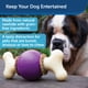 thumbnail image 2 of Toy PetSafe Busy Buddy Bouncy Bone para perros, color morado, pequeño, 2 of 6