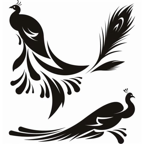 Rienda Libre Graphics - Decomural Peacocks Birds & Feathers Ws-18621