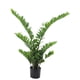 thumbnail image 1 of Planta Decorativa Árbol Zamifolia 110 Cm 11 Ramas, 1 of 2