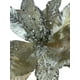 thumbnail image 2 of Poinsettia Champagne 30cm, 2 of 2