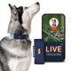 thumbnail image 1 of Rastreador GPS para perro PAJ GPS 4G en tiempo real, impermeable, 1 of 9
